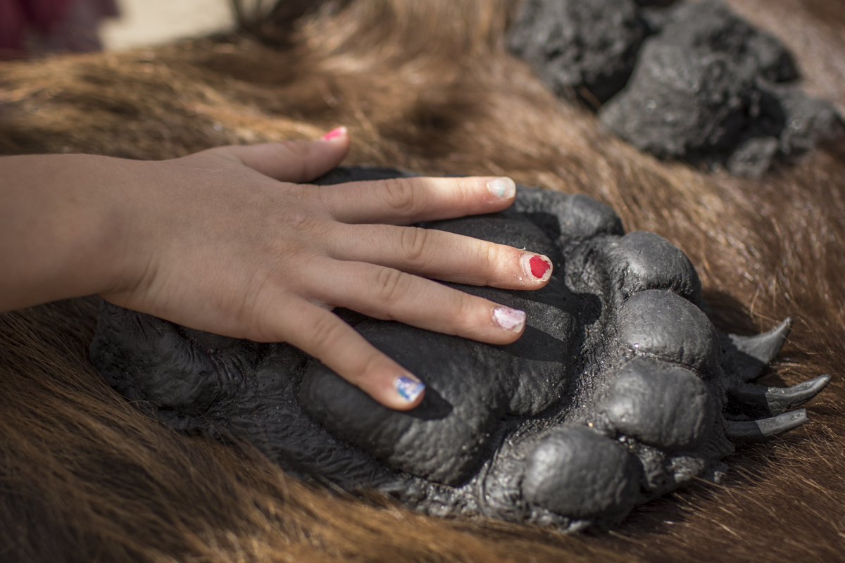 011_wildlife_RMNP.JPG