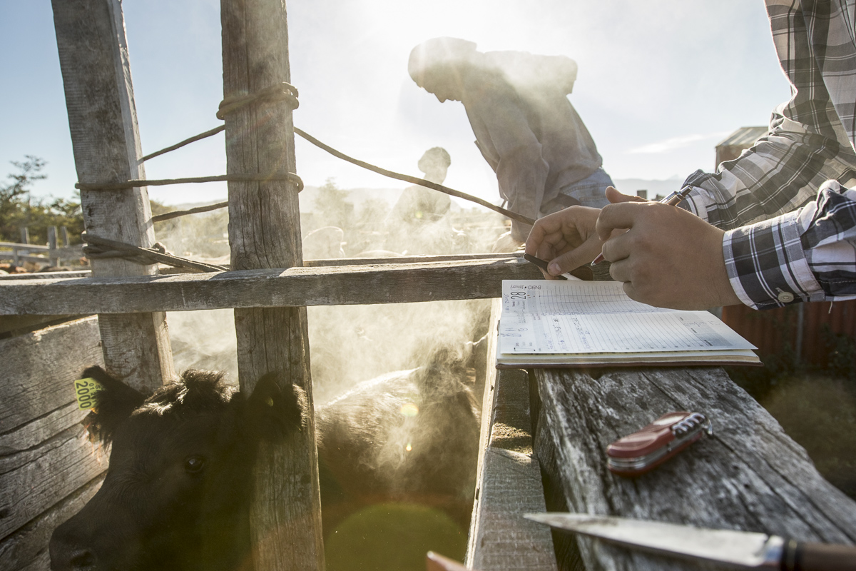 019_Hautamaki_Chilean_cowboys_SM