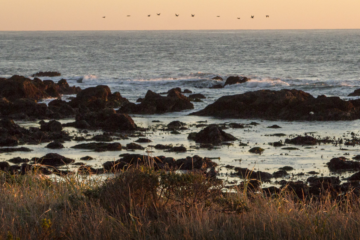 Lost_Coast_California-25