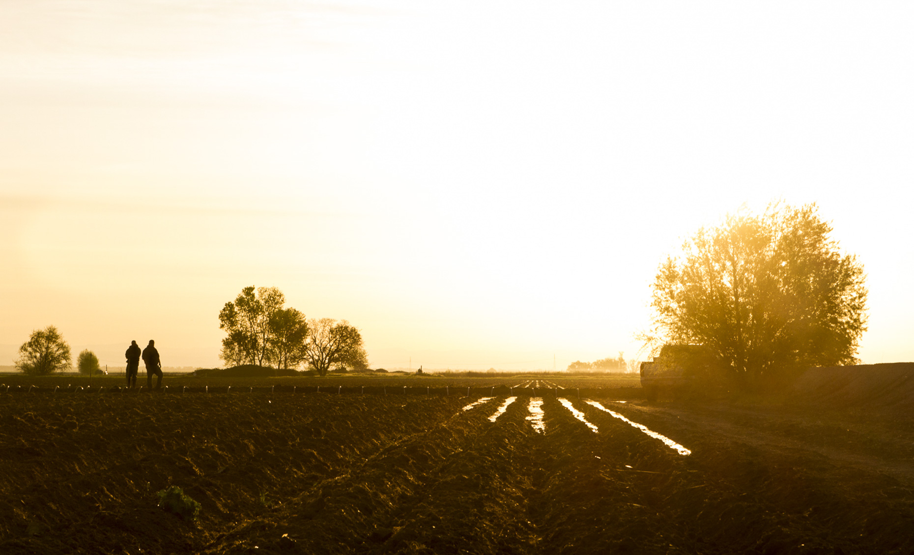 Soil_II-3